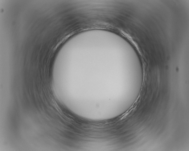 X0000062170154200512091100