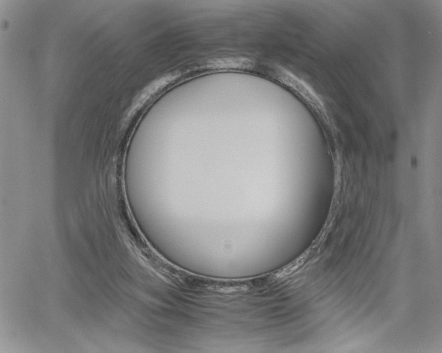 X0000062170155200512091100