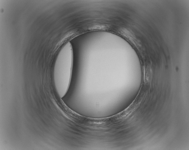 X0000062170157200512091100