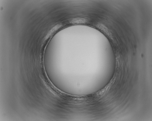 X0000062170159200512091100