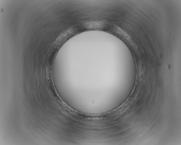 X0000062170161200512091100