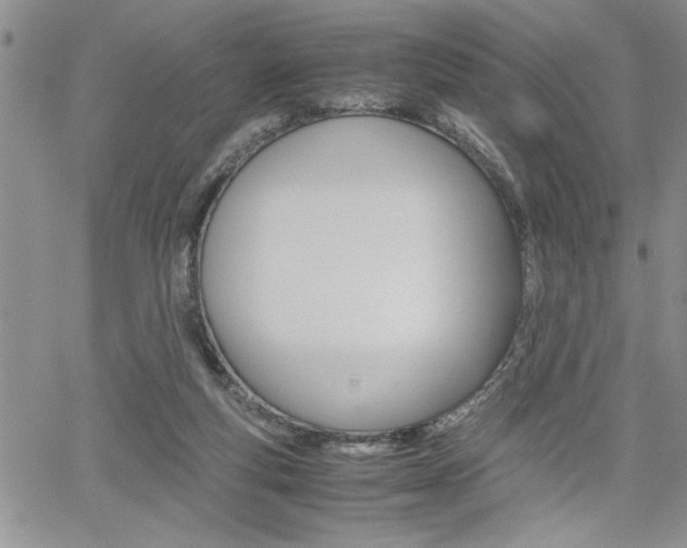 X0000062170163200512091100