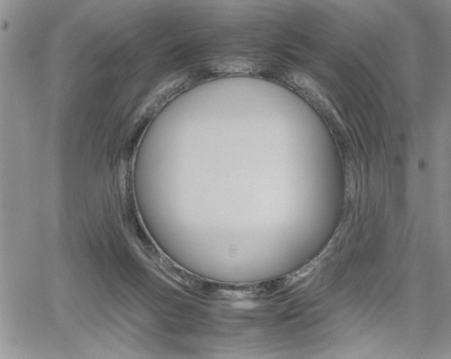 X0000062170167200512091100