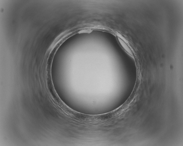 X0000062170199200512091059
