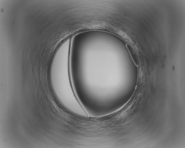 X0000062170201200512091059