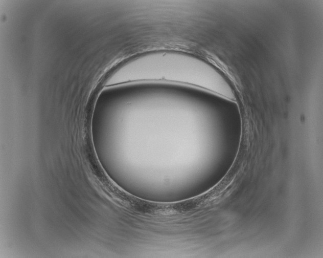 X0000062170203200512091059