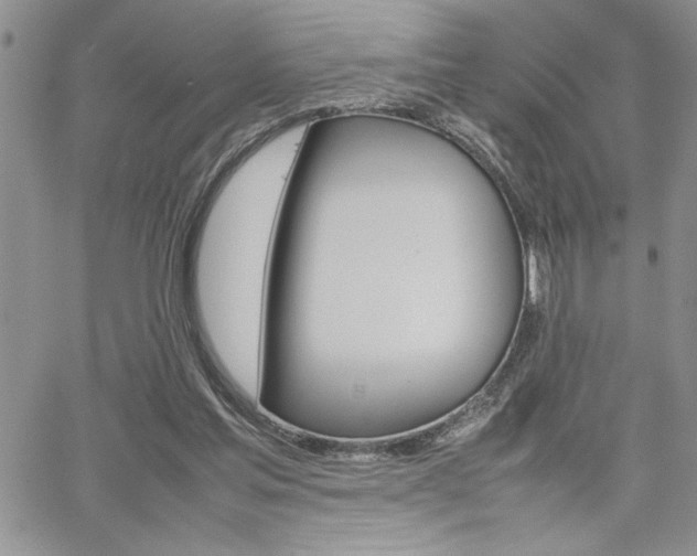 X0000062170205200512091059