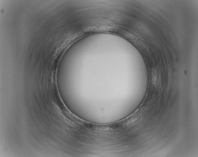 X0000062170206200512091059