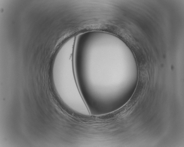X0000062170207200512091059