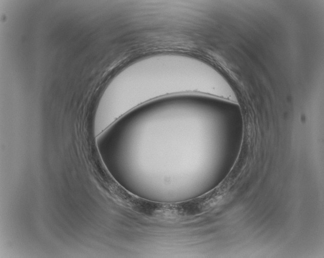 X0000062170211200512091059