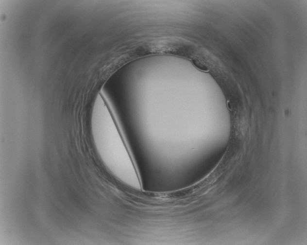 X0000062170219200512091059