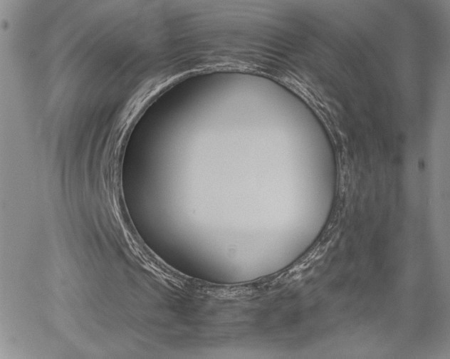 X0000062170241200512091058