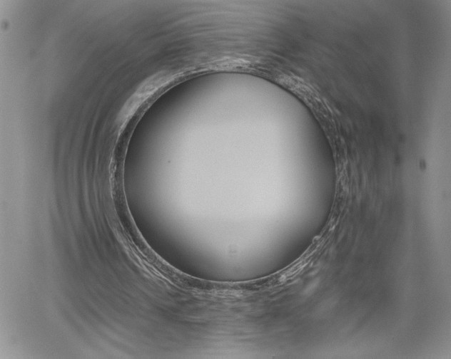 X0000062170242200512091058