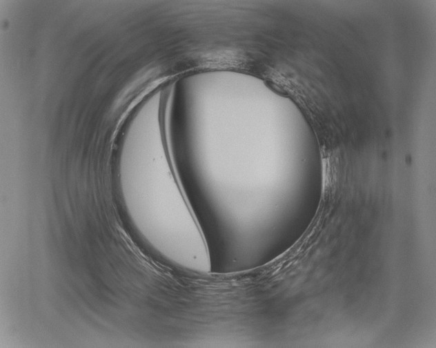 X0000062170243200512091058
