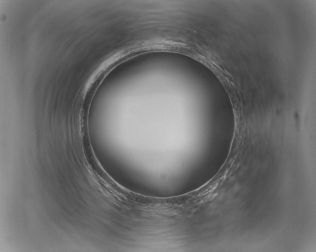 X0000062170244200512091058