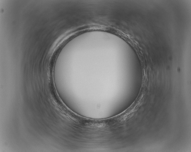 X0000062170247200512091058