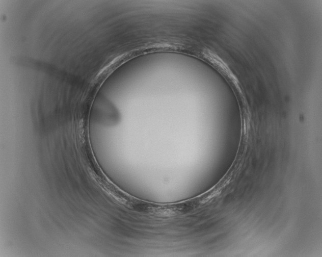 X0000062170249200512091058