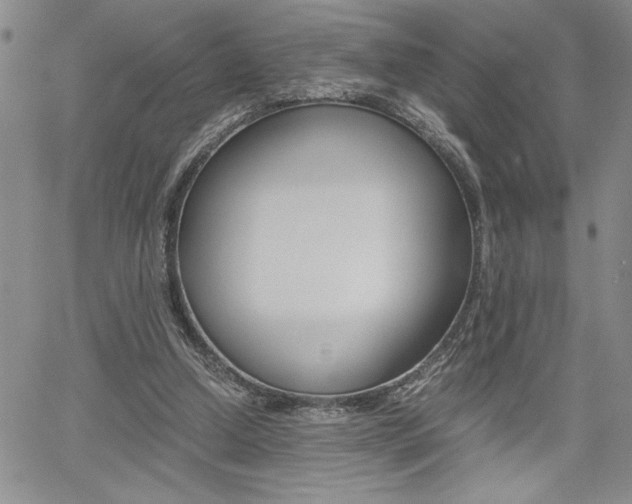X0000062170250200512091058
