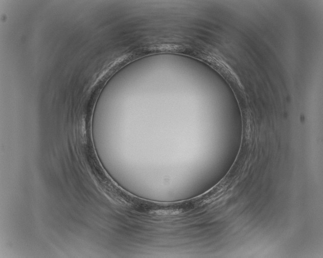 X0000062170251200512091058