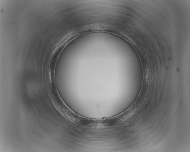 X0000062170254200512091058