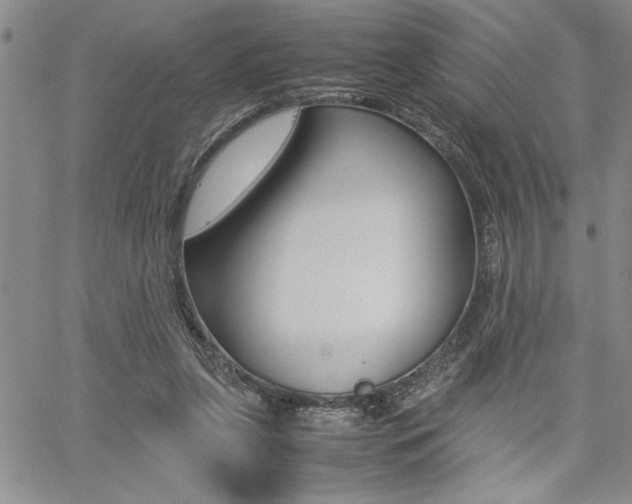 X0000062170255200512091058