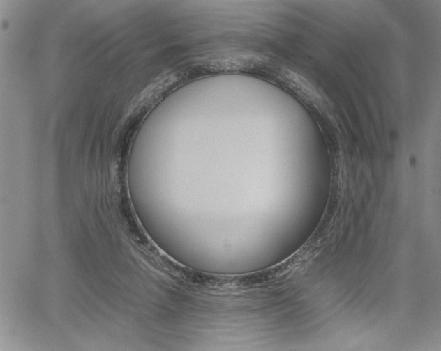 X0000062170258200512091058