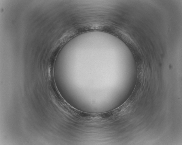 X0000062170262200512091058
