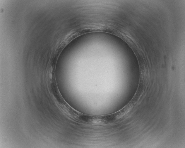 X0000062170264200512091058
