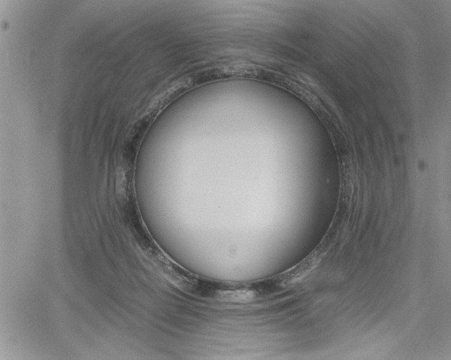 X0000062170266200512091058