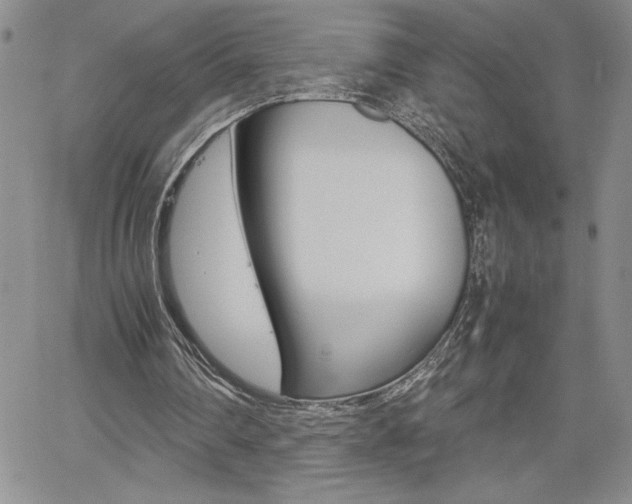 X0000062170290200512091058