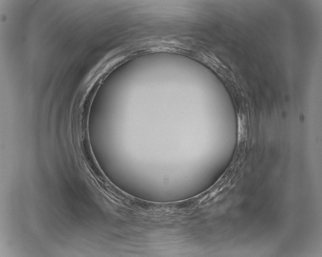 X0000062170291200512091058