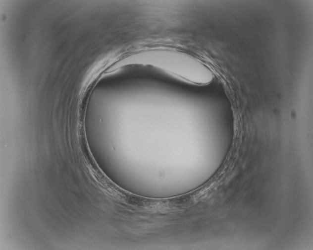 X0000062170293200512091058