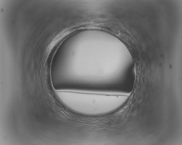 X0000062170295200512091058