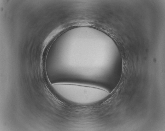 X0000062170296200512091058