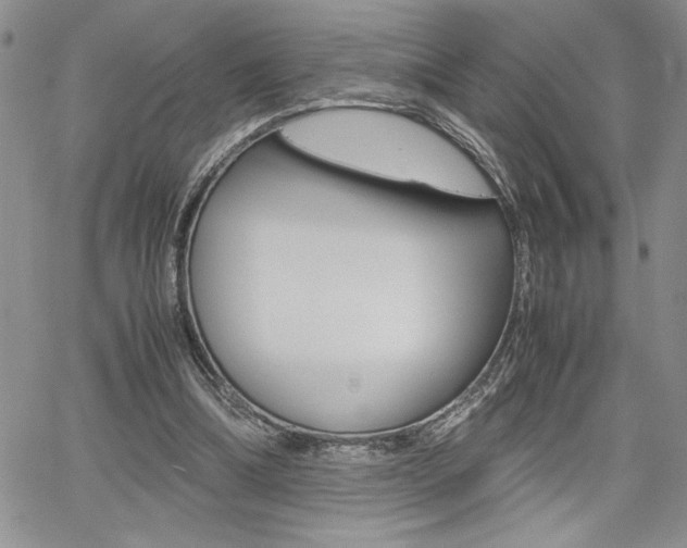 X0000062170298200512091058