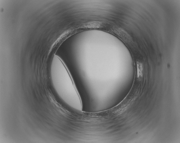 X0000062170300200512091058