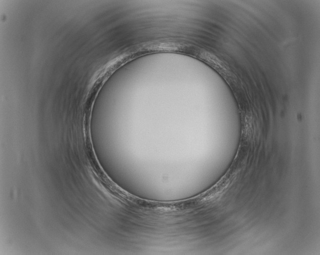 X0000062170302200512091058