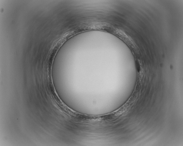 X0000062170306200512091058