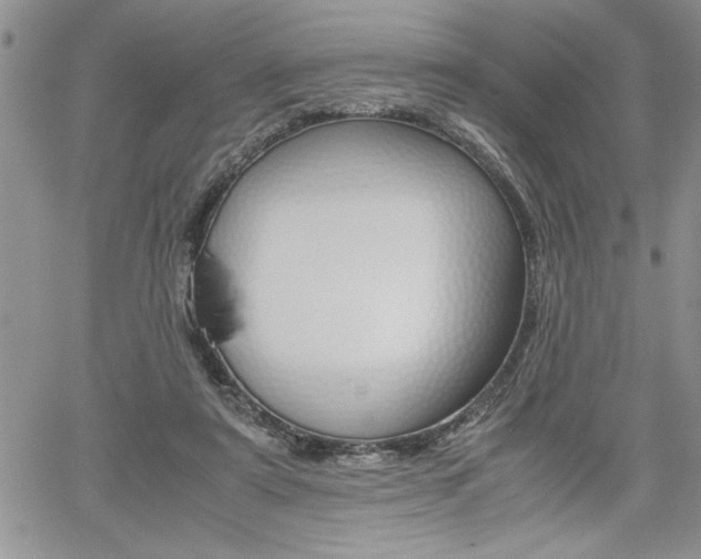 X0000062170307200512091058