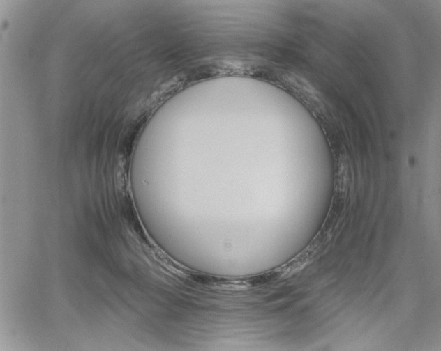X0000062170318200512091057