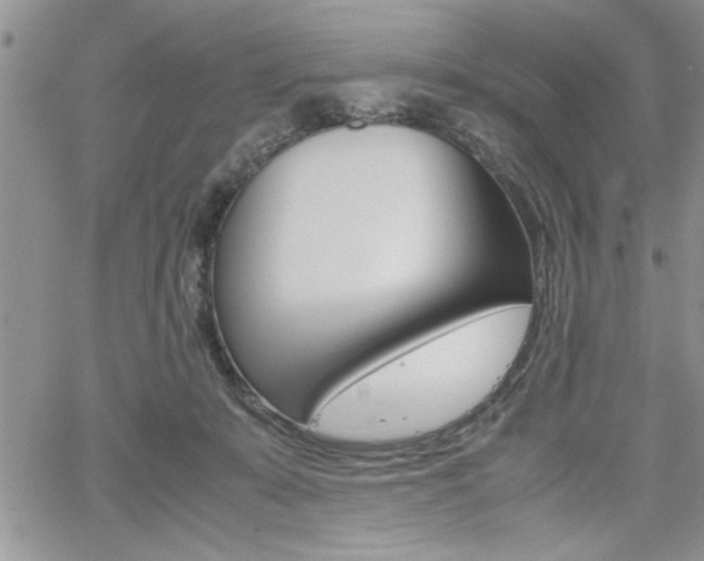 X0000062170319200512091057