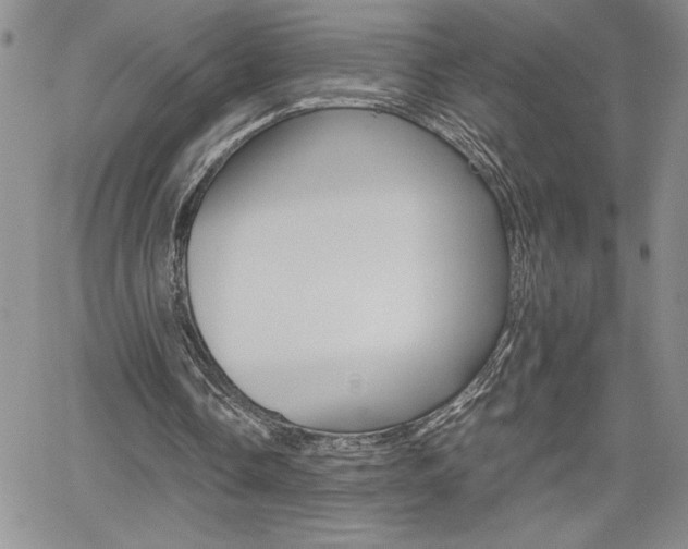 X0000062170338200512091056