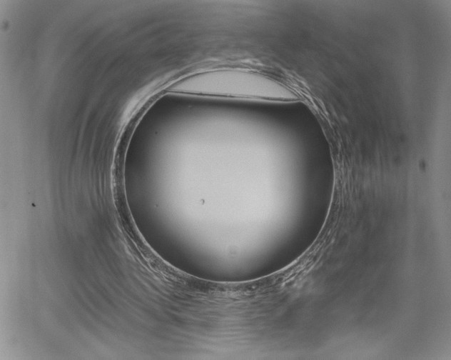 X0000062170340200512091056