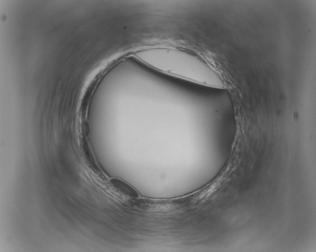 X0000062170342200512091056
