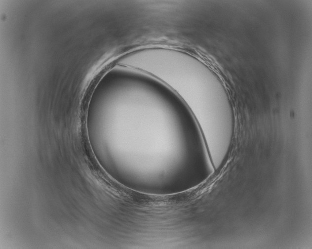 X0000062170344200512091056