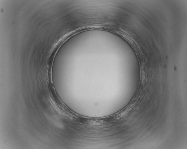 X0000062170346200512091056