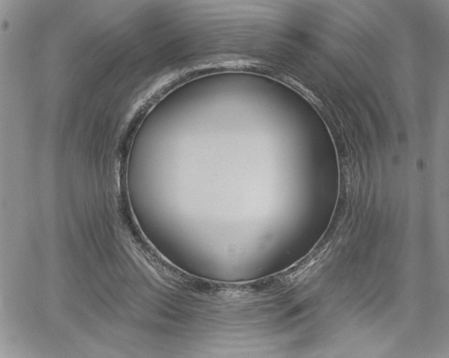 X0000062170350200512091057