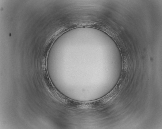 X0000062170356200512091057