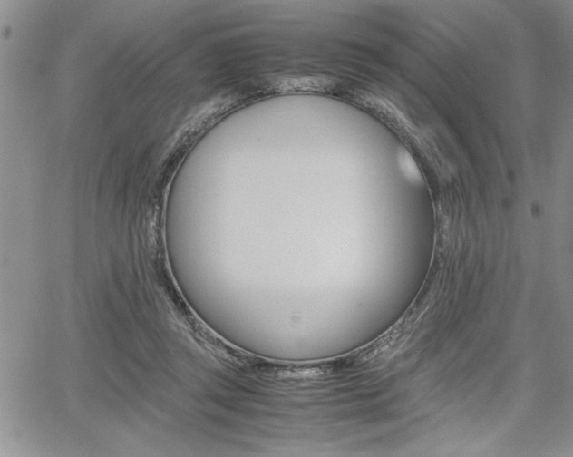 X0000062170357200512091057