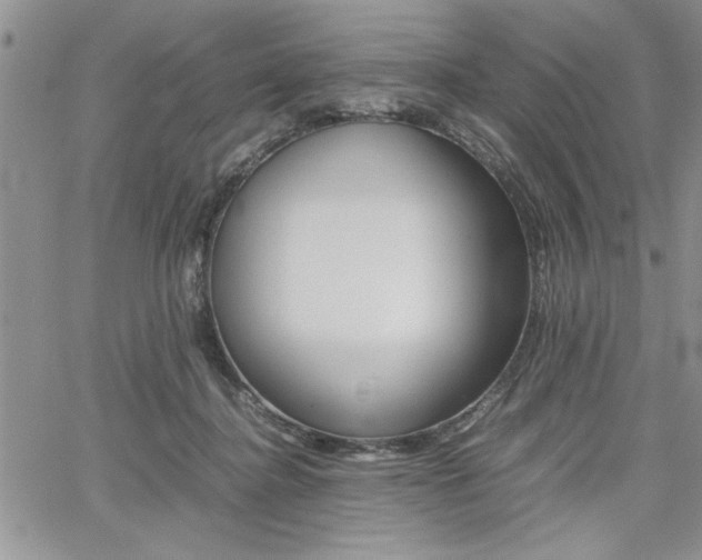 X0000062170364200512091057